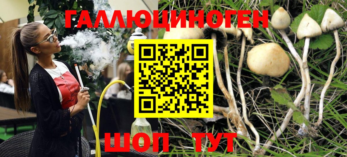 Псилоцибиновые грибы ЛСД  Вход с VPN  Добрянка  Галлюциногенные грибы Psilocybe 